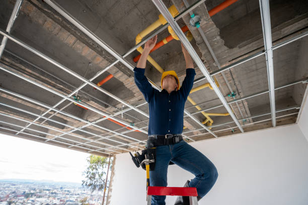 Best Clogged Drain Plumber  in Braddock, VA